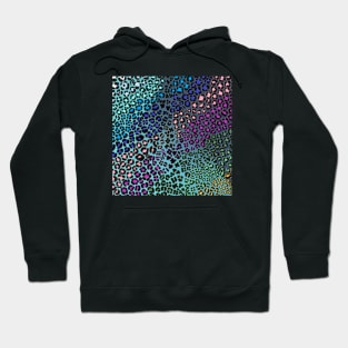 cheetah pattern Hoodie